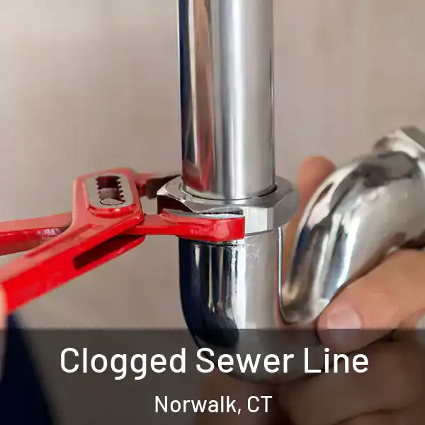  Clogged Sewer Line Norwalk, CT