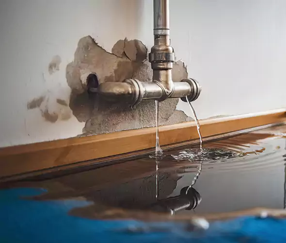 Professional Water Damage Restoration Experts in Norwalk, CT — Fast, Reliable & Certified