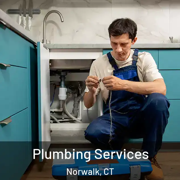  Plumbing Services Norwalk, CT