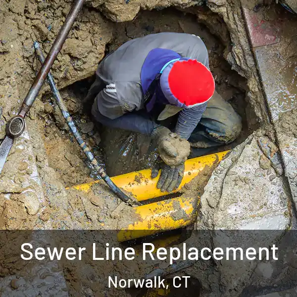  Sewer Line Replacement Norwalk, CT