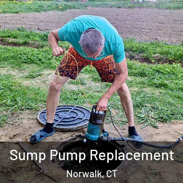  Sump Pump Replacement Norwalk, CT