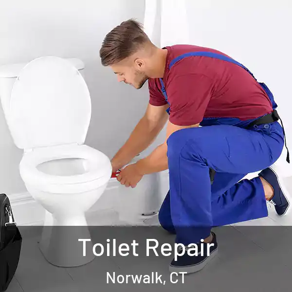 Toilet Repair Norwalk, CT