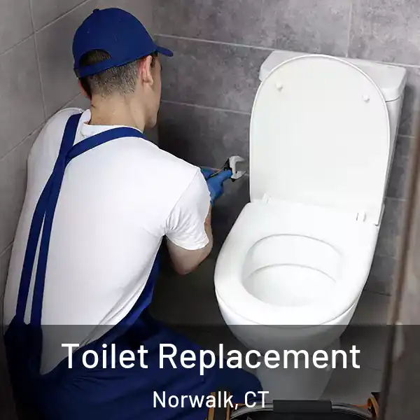 Toilet Replacement Norwalk, CT