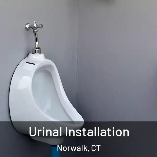  Urinal Installation Norwalk, CT